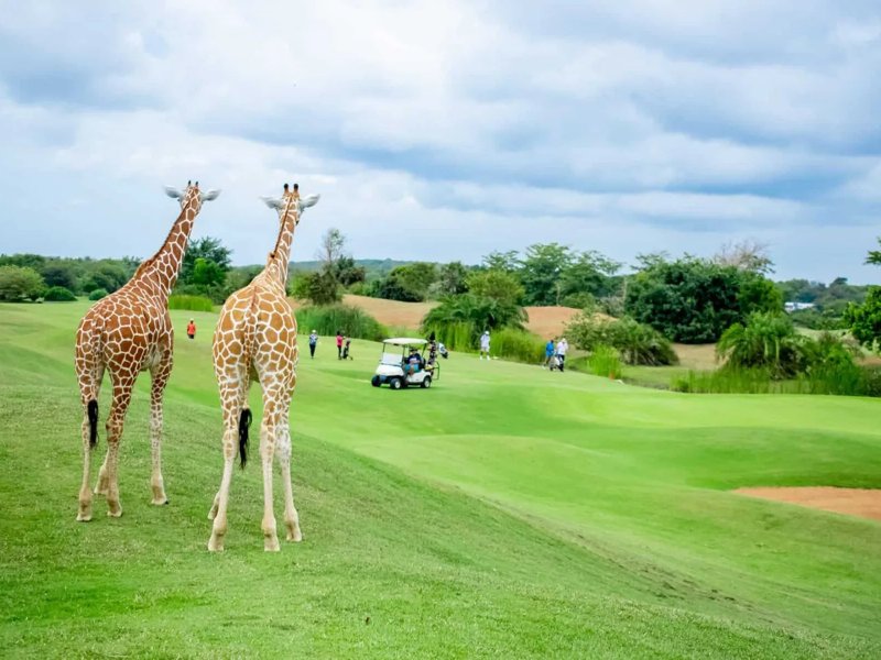 Golf a Serengeti kapujában – Tanzánia új, 18 szakaszos bajnoki pályát létesített